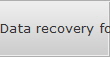 Data recovery for Shields data